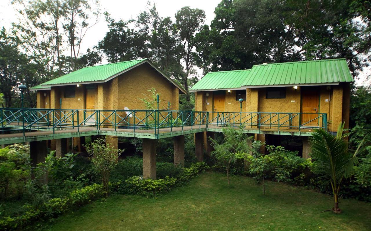 MPT White Tiger Forest Lodge Tāla Eksteriør billede