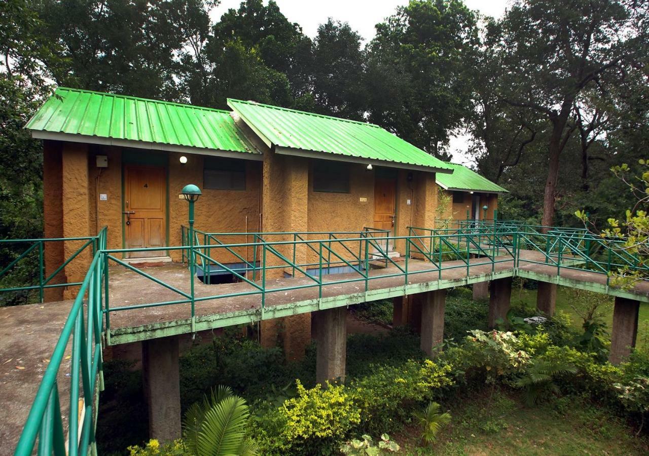 MPT White Tiger Forest Lodge Tāla Eksteriør billede